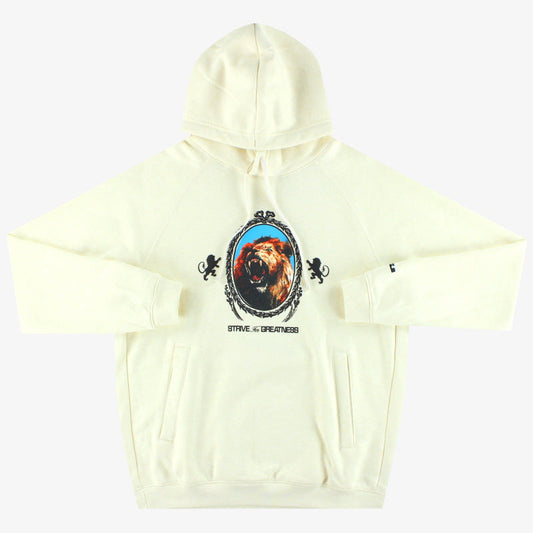 Nike Lebron ‘Strive For Greatness’ Pullover Hoodie *w/tags* M